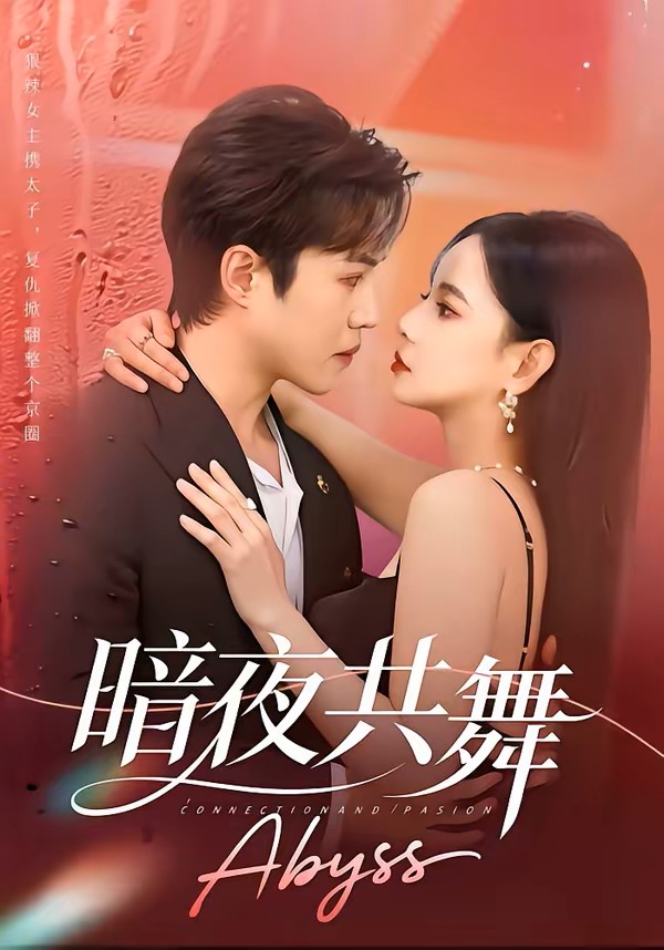 暗夜共舞封面图