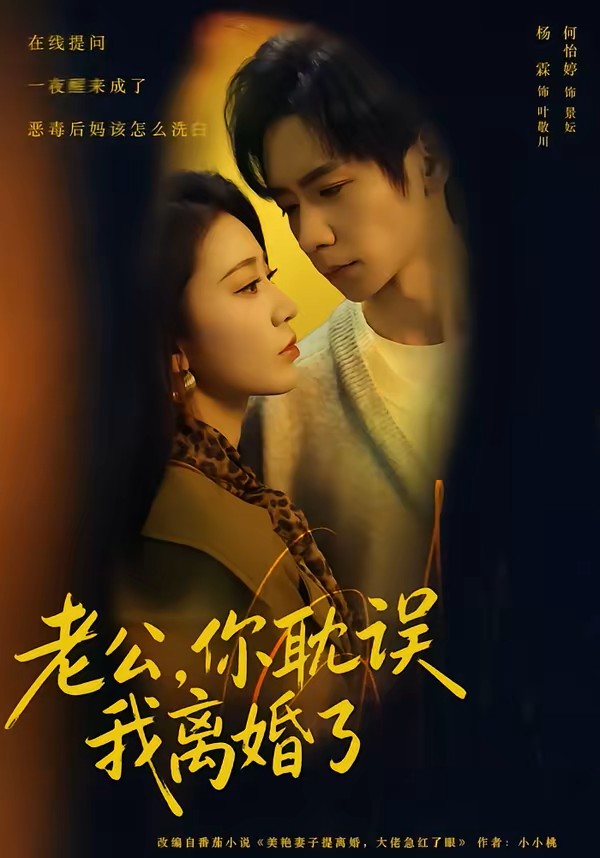 老公你耽误我离婚了封面图