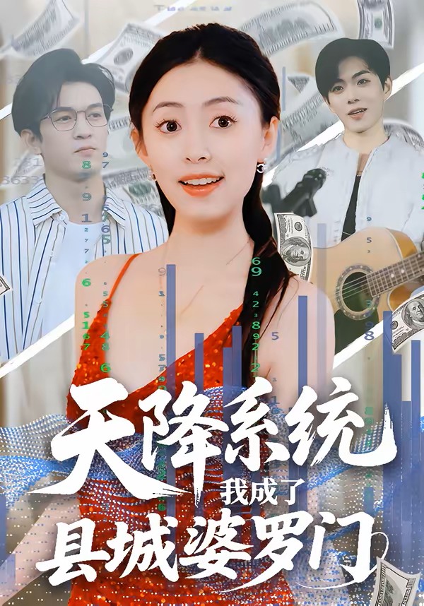 天降系统我成了县城婆罗门