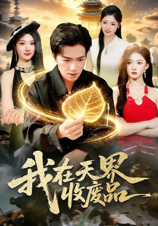 我在天界收废品封面图