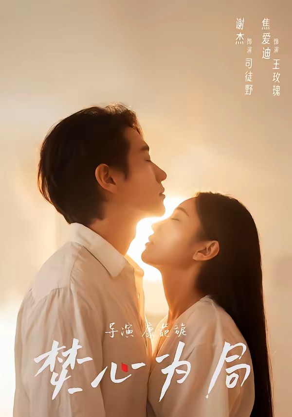 焚心为局封面图