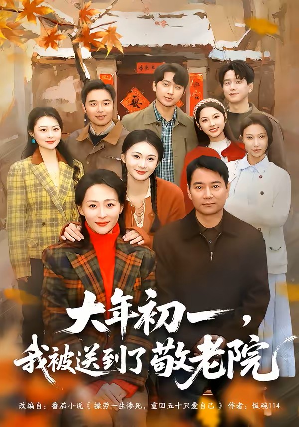 大年初一我被送到了敬老院封面图