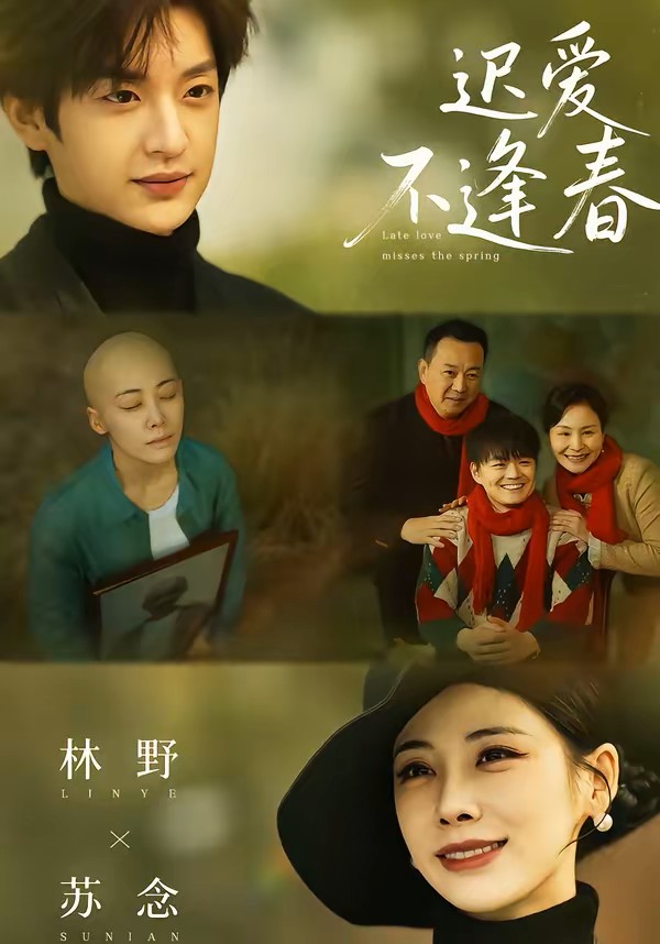 迟爱不逢春封面图