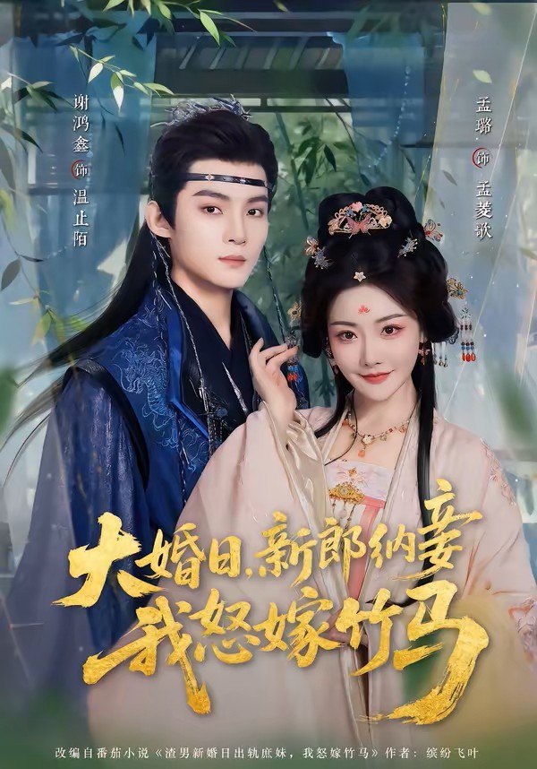 大婚日，新郎纳妾我怒嫁竹马