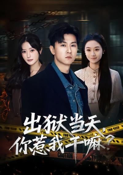 出狱当天你惹我干嘛封面图