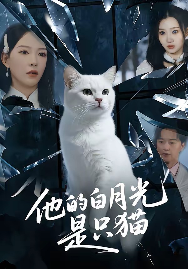 他的白月光是只猫