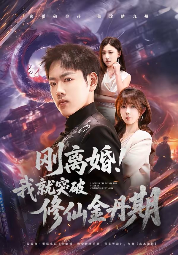 刚离婚我就突破修仙金丹期封面图