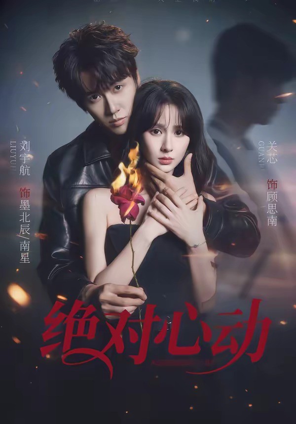 绝对心动封面图