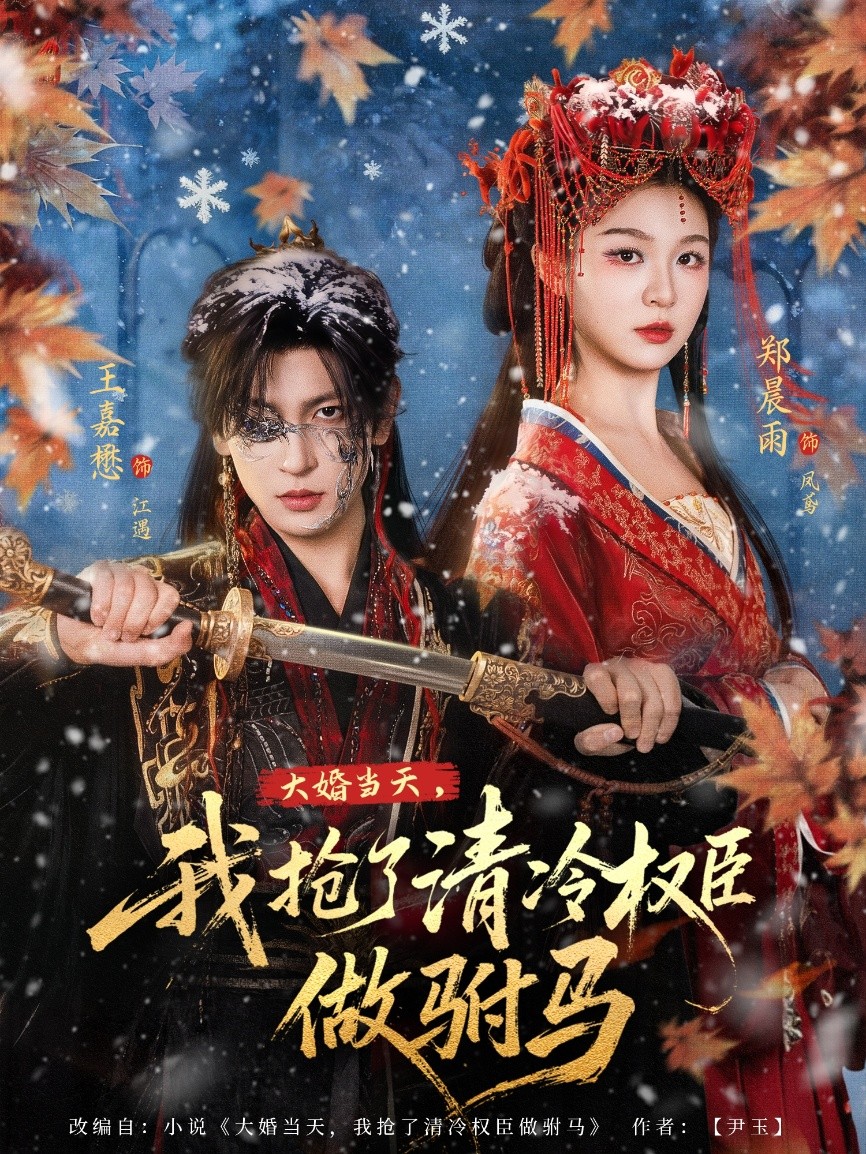 大婚当天我抢了清冷权臣做驸马封面图